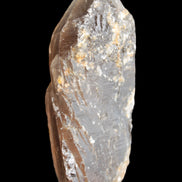 Smoky Quartz crystal 138mm 436g in sunlight - Rocks and Things Store