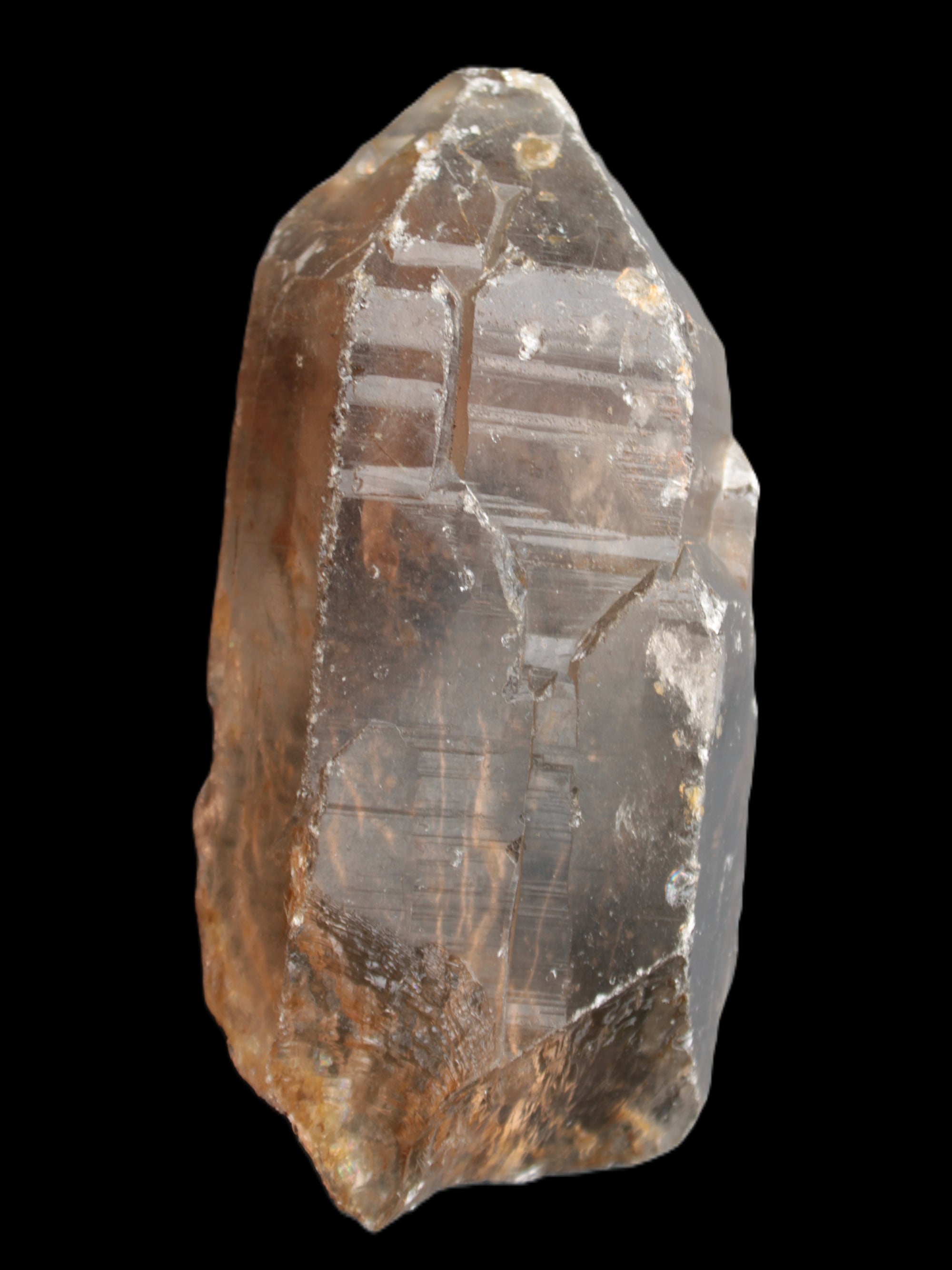 Smoky Quartz crystal 138mm 436g