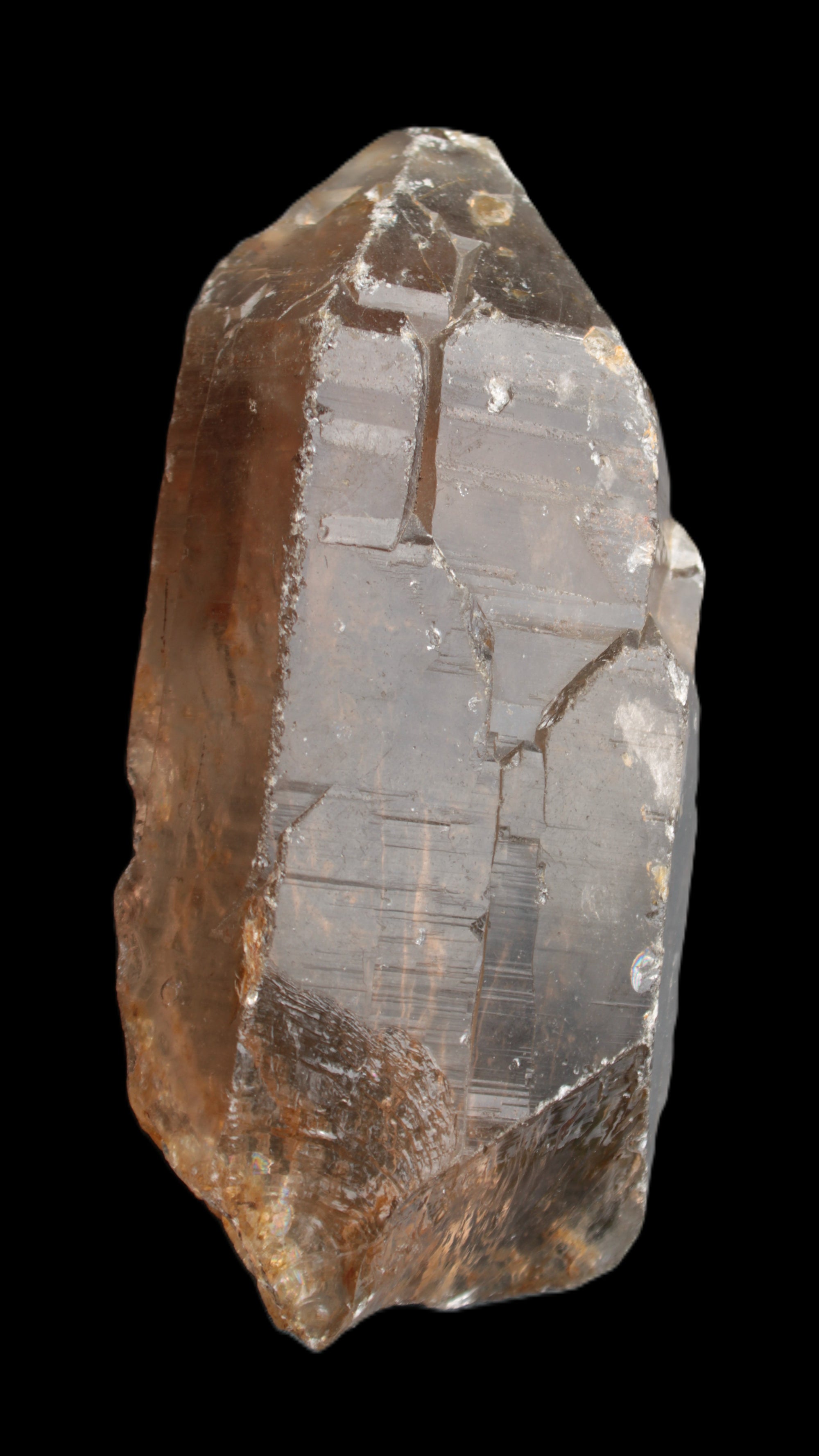 Smoky Quartz crystal 138mm 436g