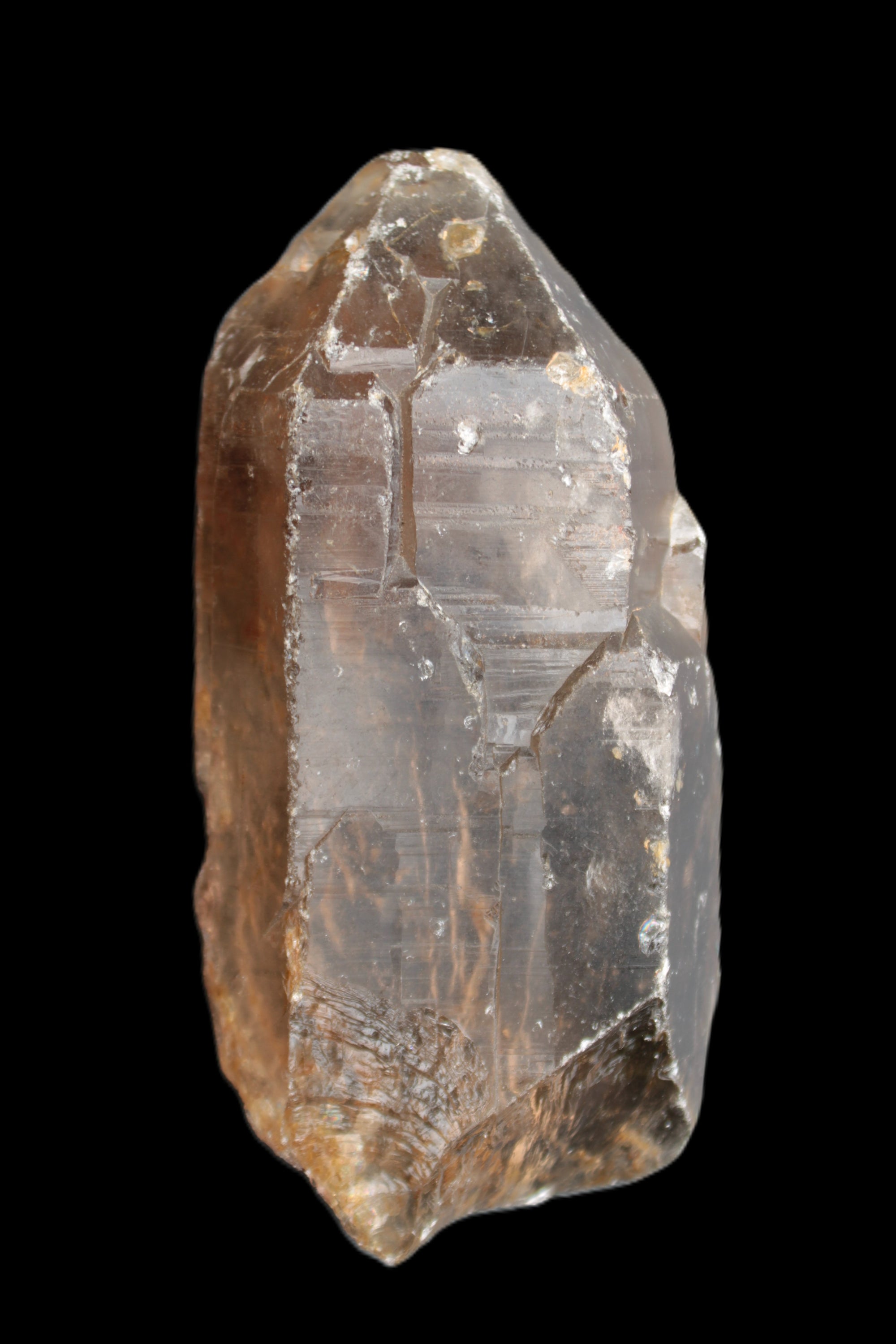 Smoky Quartz crystal 138mm 436g