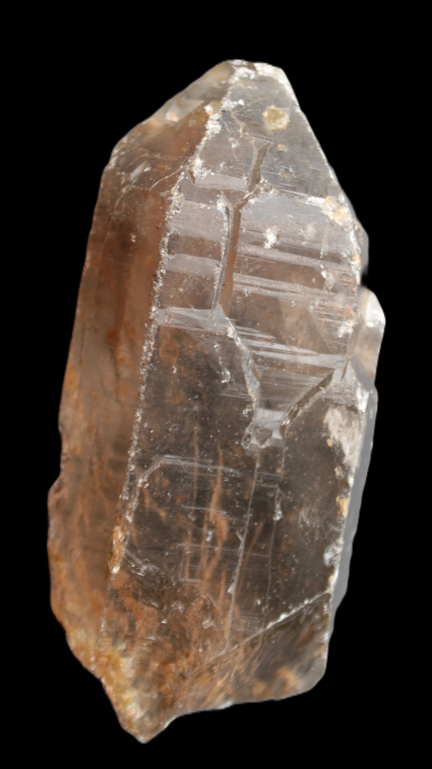 Smoky Quartz crystal 138mm 436g