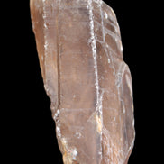 Smoky Quartz crystal 138mm 436g in sunlight - Rocks and Things Store