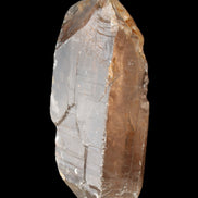 Smoky Quartz crystal 138mm 436g in sunlight - Rocks and Things Store