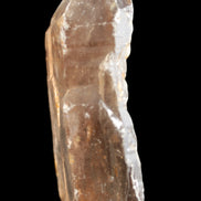 Smoky Quartz crystal 138mm 436g in sunlight - Rocks and Things Store