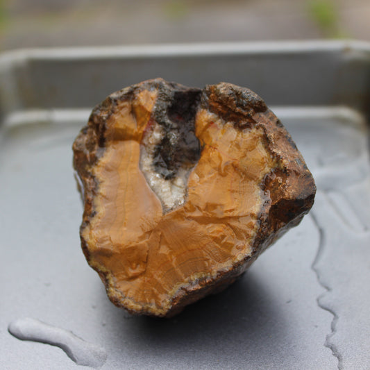 Warring States Orange Agate geode from China 324g Rocks and Things