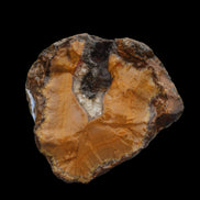 Warring States Orange Agate geode from China 324g in sunlight - Rocks and Things Store