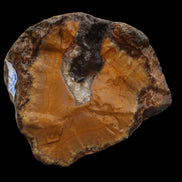 Warring States Orange Agate geode from China 324g in sunlight - Rocks and Things Store