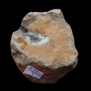 Warring States Orange Agate geode from China 324g in sunlight - Rocks and Things Store