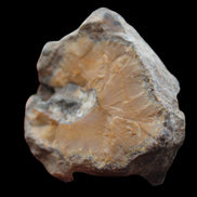 Warring States Orange Agate geode from China 324g in sunlight - Rocks and Things Store