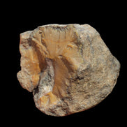 Warring States Orange Agate geode from China 324g in sunlight - Rocks and Things Store