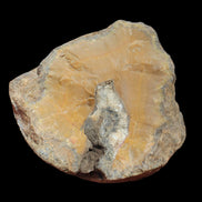 Warring States Orange Agate geode from China 324g in sunlight - Rocks and Things Store