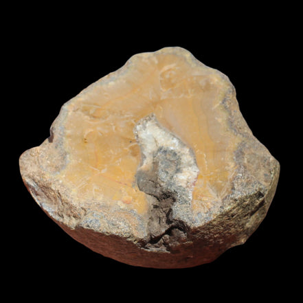 Warring States Orange Agate geode from China 324g in sunlight - Rocks and Things Store