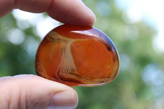 Sardonyx agate palm stone 33.6g Rocks and Things