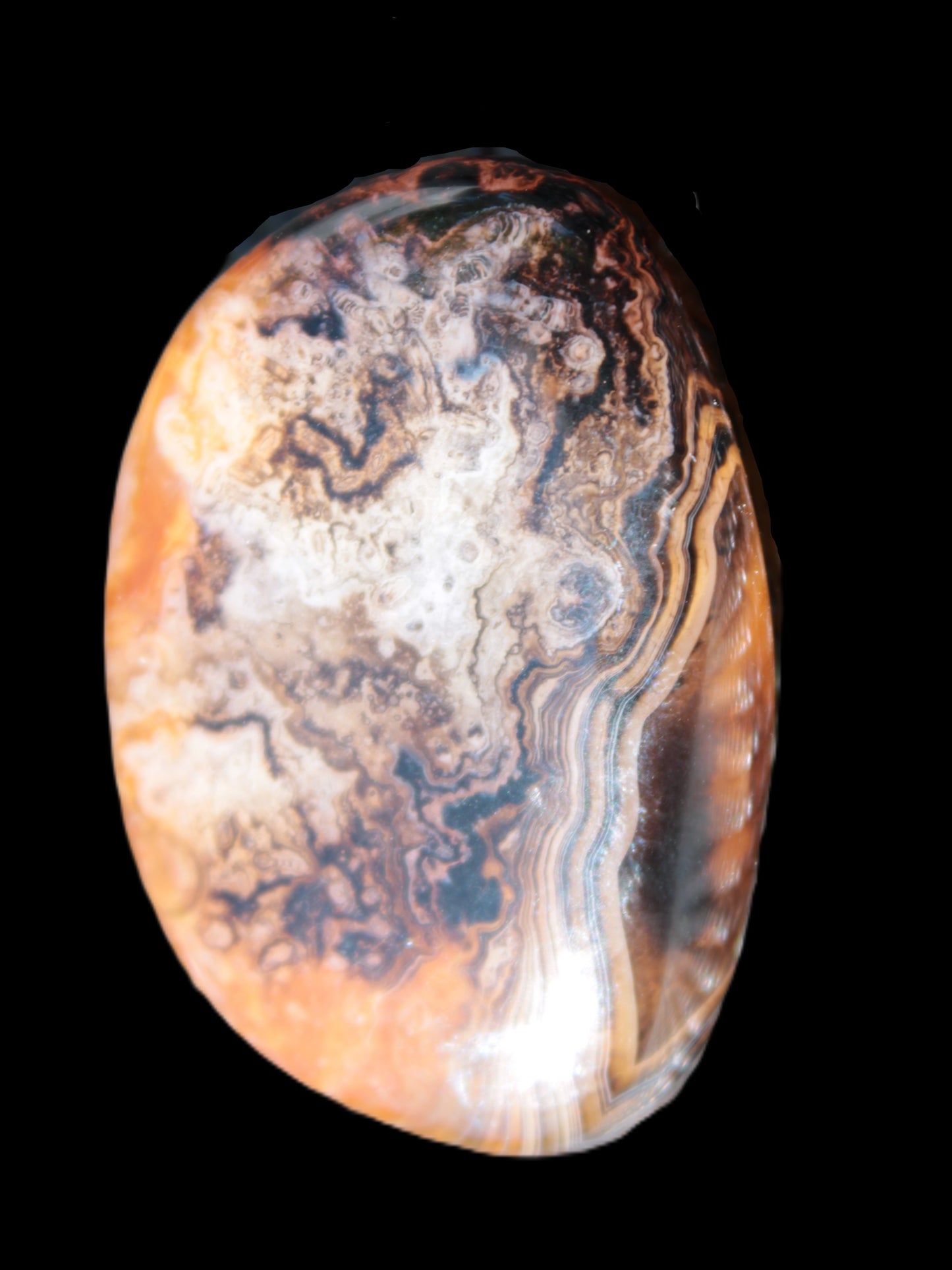 Sardonyx agate palm stone 35-45g Rocks and Things