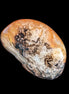 Sardonyx agate palm stone 35-45g Rocks and Things