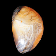 Sardonyx agate palm stone 35-45g Rocks and Things