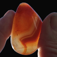 Sardonyx agate palm stone 35-45g Rocks and Things