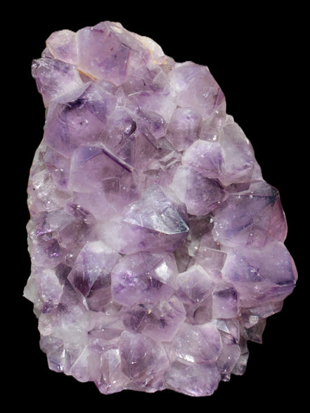 Amethyst large dark geode cluster from Brazil 7600g Rocks and Things Store