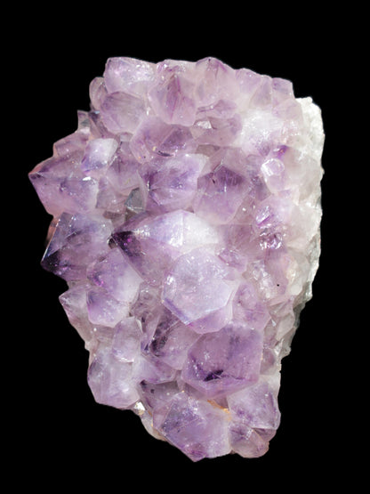 Amethyst large dark geode cluster from Brazil 7600g Rocks and Things Store