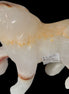 Afghan Jade Onyx hand-carved Lion 503g Rocks and Things