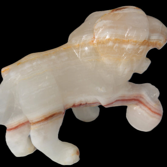 Afghan Jade Onyx hand-carved Lion 503g Rocks and Things