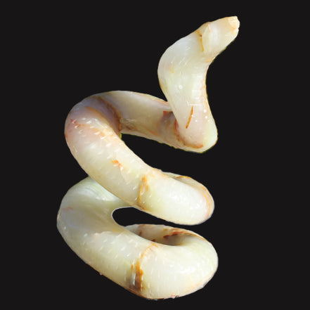 Afghan Jade hand-carved Cobra 1307g Rocks and Things