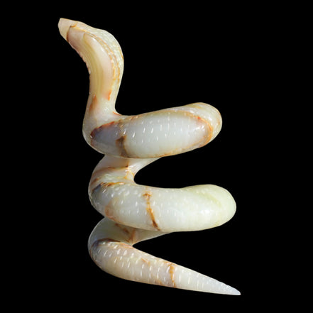 Afghan Jade hand-carved Cobra 1307g Rocks and Things
