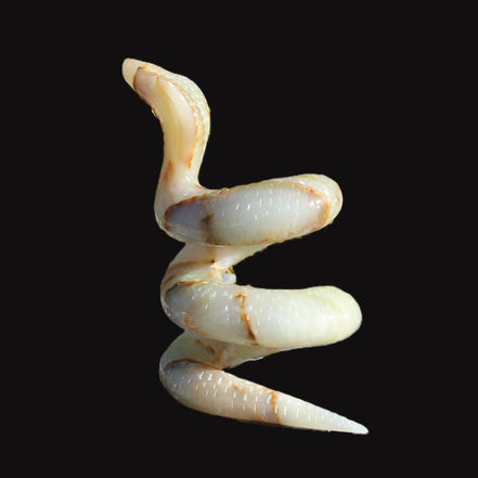 Afghan Jade hand-carved Cobra 1307g Rocks and Things