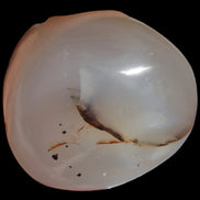 Agate palmstone dendritic 223g - Rocks and Things Store