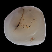 Agate palmstone dendritic 223g - Rocks and Things Store