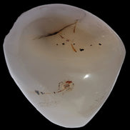 Agate palmstone dendritic 223g - Rocks and Things Store