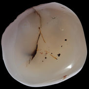 Agate palmstone dendritic 223g - Rocks and Things Store