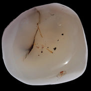 Agate palmstone dendritic 223g - Rocks and Things Store