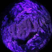 Ocean Moss Agate with geode cave sphere 4500g in UV light