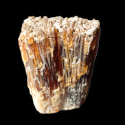 Amber Calcite phosphorescent crystal 127g in sunlight - Rocks and Things Store