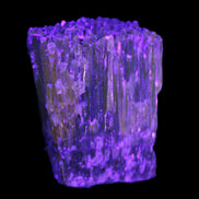 Amber Calcite phosphorescent crystal 127g in UV light - Rocks and Things Store