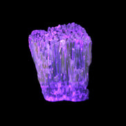 Amber Calcite phosphorescent crystal 127g in UV light - Rocks and Things Store