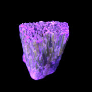 Amber Calcite phosphorescent crystal 127g in UV light - Rocks and Things Store