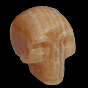 Banded Yellow Calcite skull 49mm 185.6g in sunlight - Rocks and Things Store