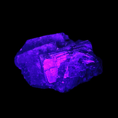 Black Rose UV-reactive Fluorite specimen 18.8g Rocks and Things Store