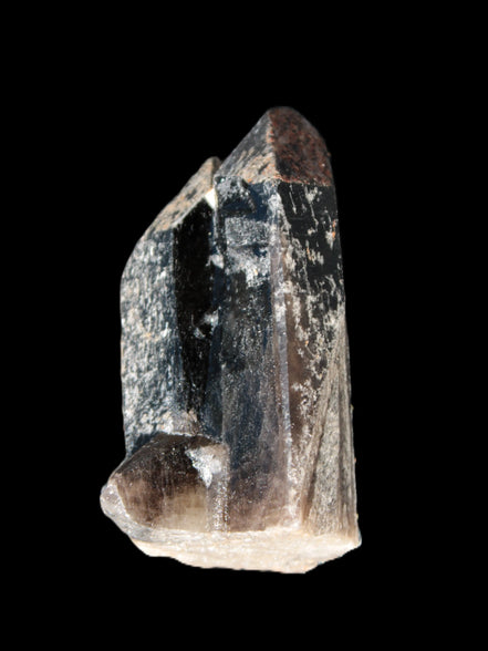 Black Smoky Quartz crystal cluster 213g Rocks and Things