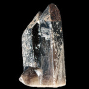 Black Smoky Quartz crystal cluster 213g Rocks and Things