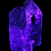 Black Smoky Quartz crystal cluster 213g in UV light