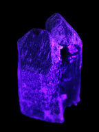 Black Smoky Quartz crystal cluster 213g in UV light