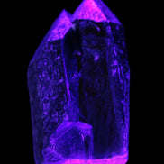 Black Smoky Quartz crystal cluster 213g in UV light