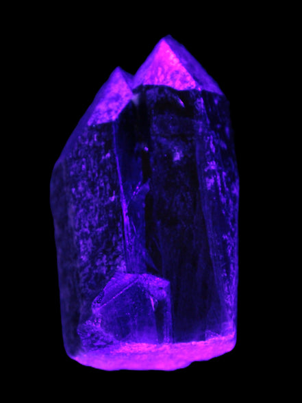 Black Smoky Quartz crystal cluster 213g in UV light