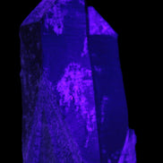 Black Smoky Quartz crystal cluster 213g in UV light