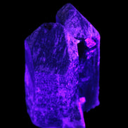 Black Smoky Quartz crystal cluster 213g in UV light