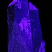 Black Smoky Quartz crystal cluster 213g in UV light