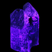 Black Smoky Quartz crystal cluster 213g in UV light